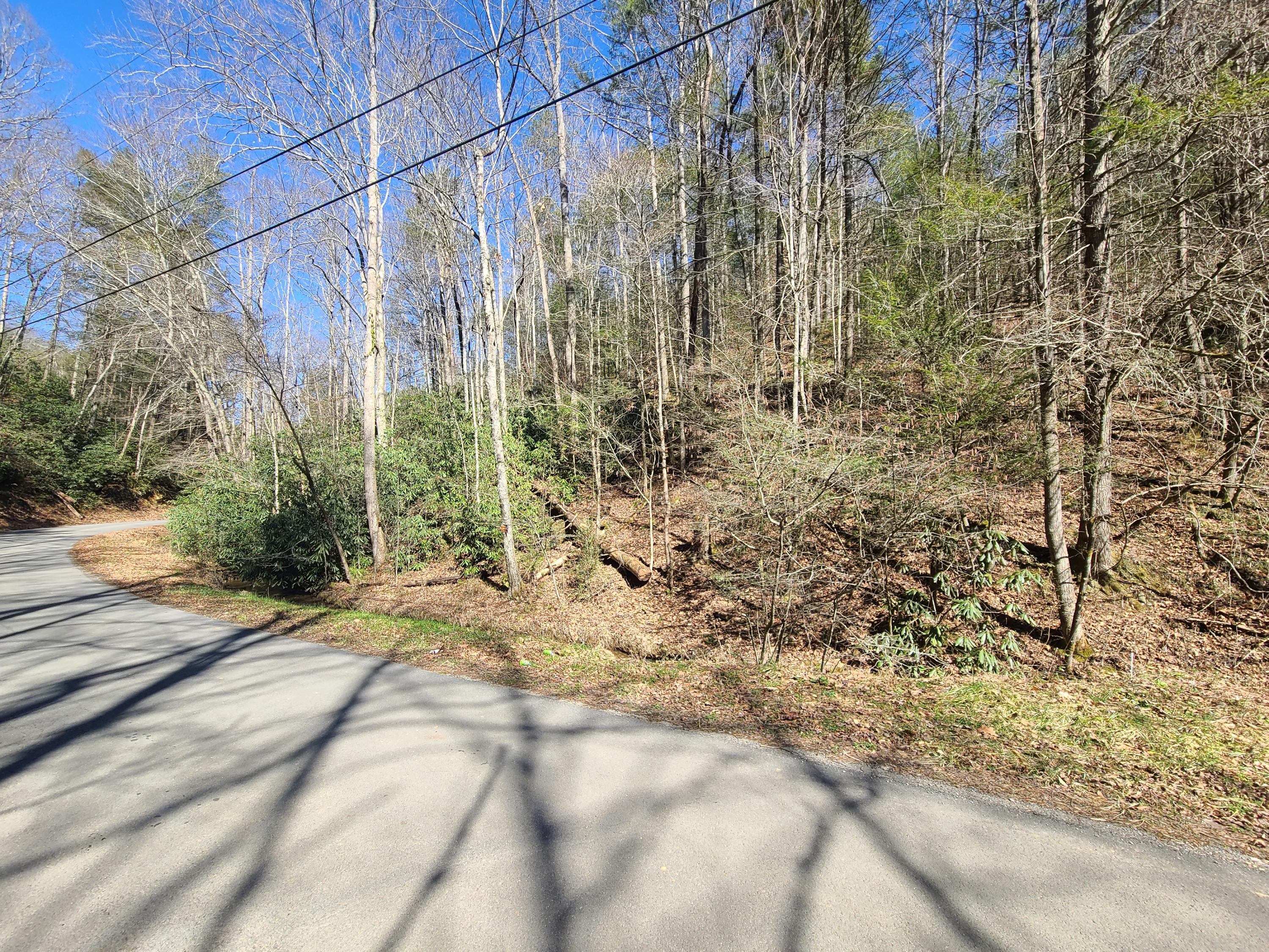 30.02 Laurel Lick Road Sevierville, TN 37862 - Photo 4 of 30 20210224_113413