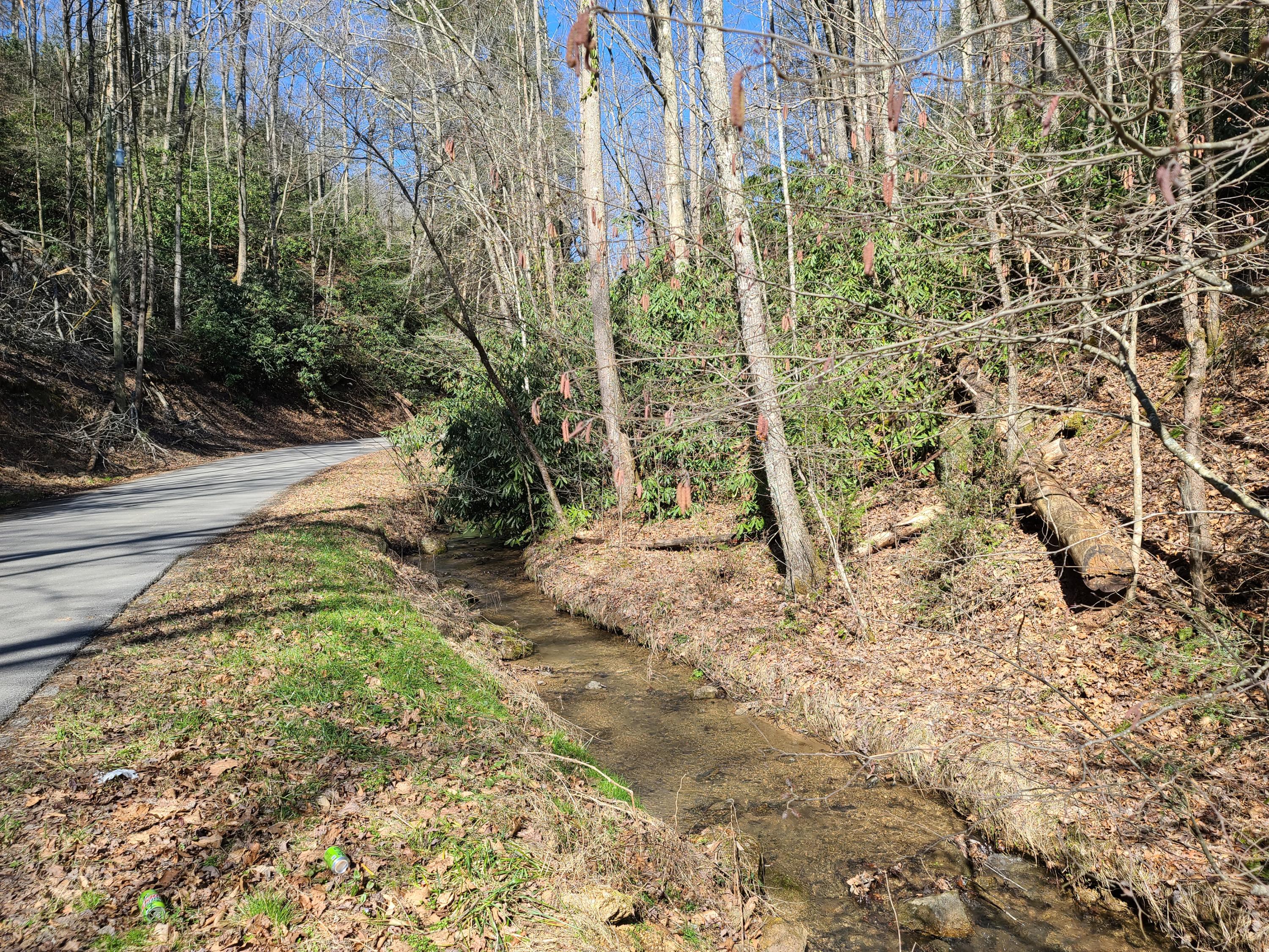 30.02 Laurel Lick Road Sevierville, TN 37862 - Photo 7 of 30 20210224_113450