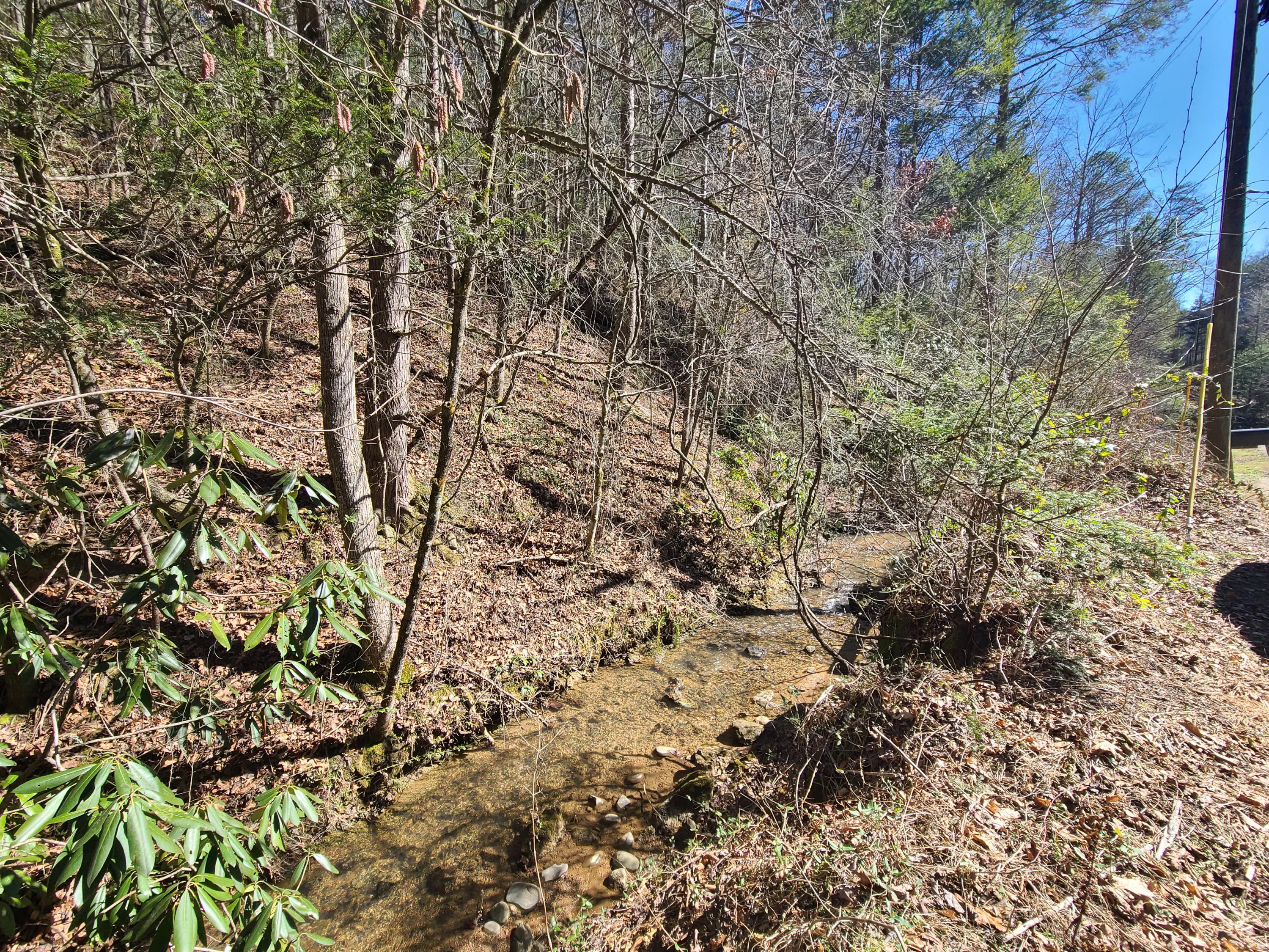 30.02 Laurel Lick Road Sevierville, TN 37862 - Photo 8 of 30 20210224_113526