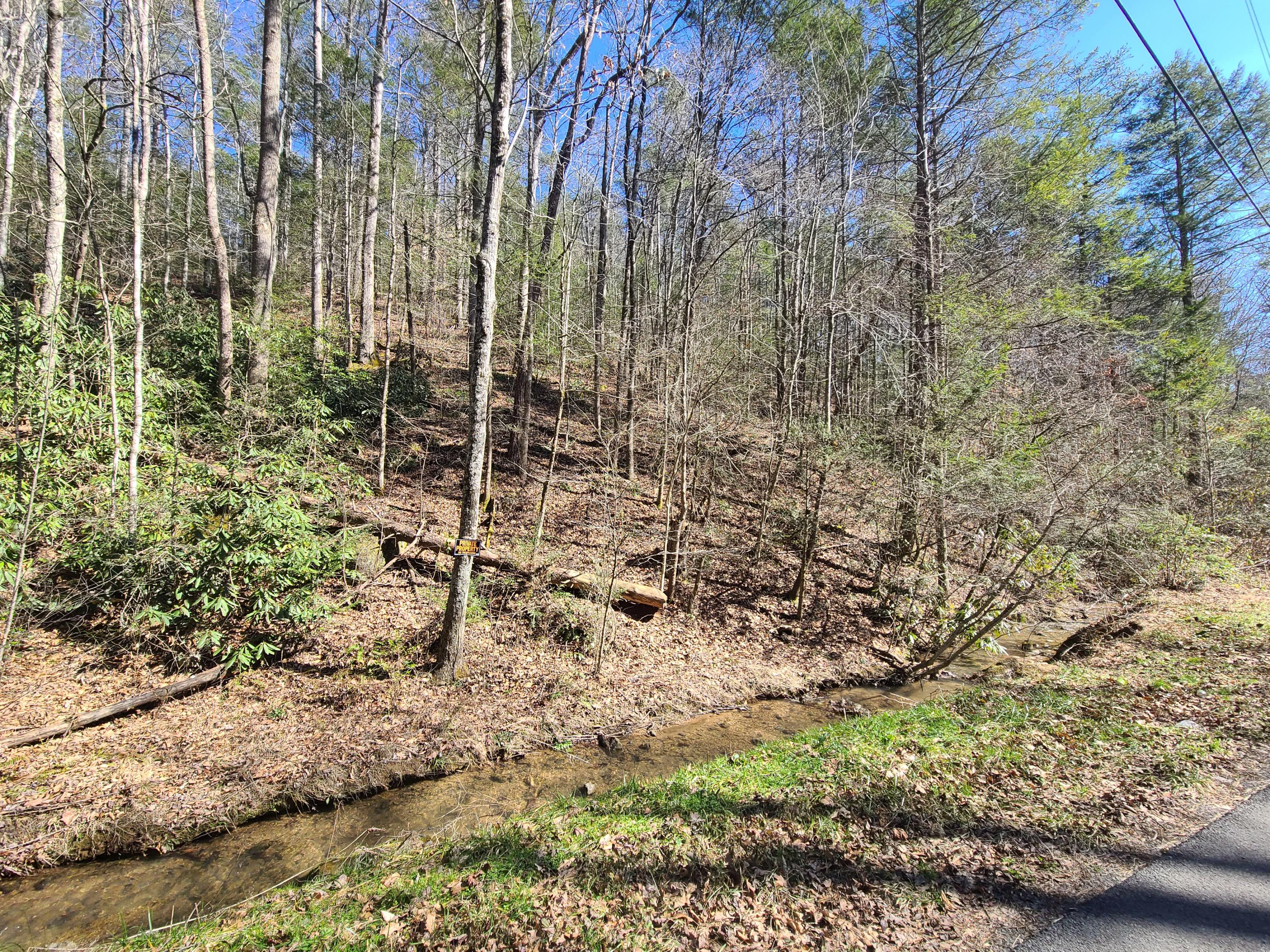 30.02 Laurel Lick Road Sevierville, TN 37862 - Photo 9 of 30 20210224_113552