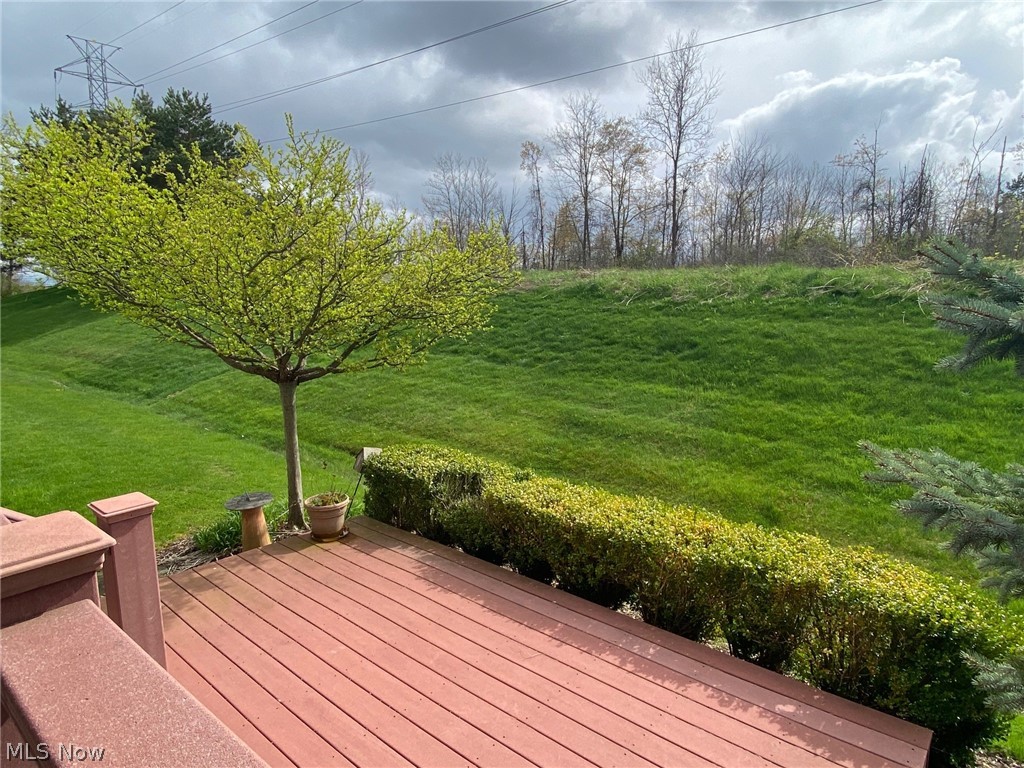 121 Chimney Ridge Chardon, OH 44024 - Photo 28 of 29 Gallery Image 28