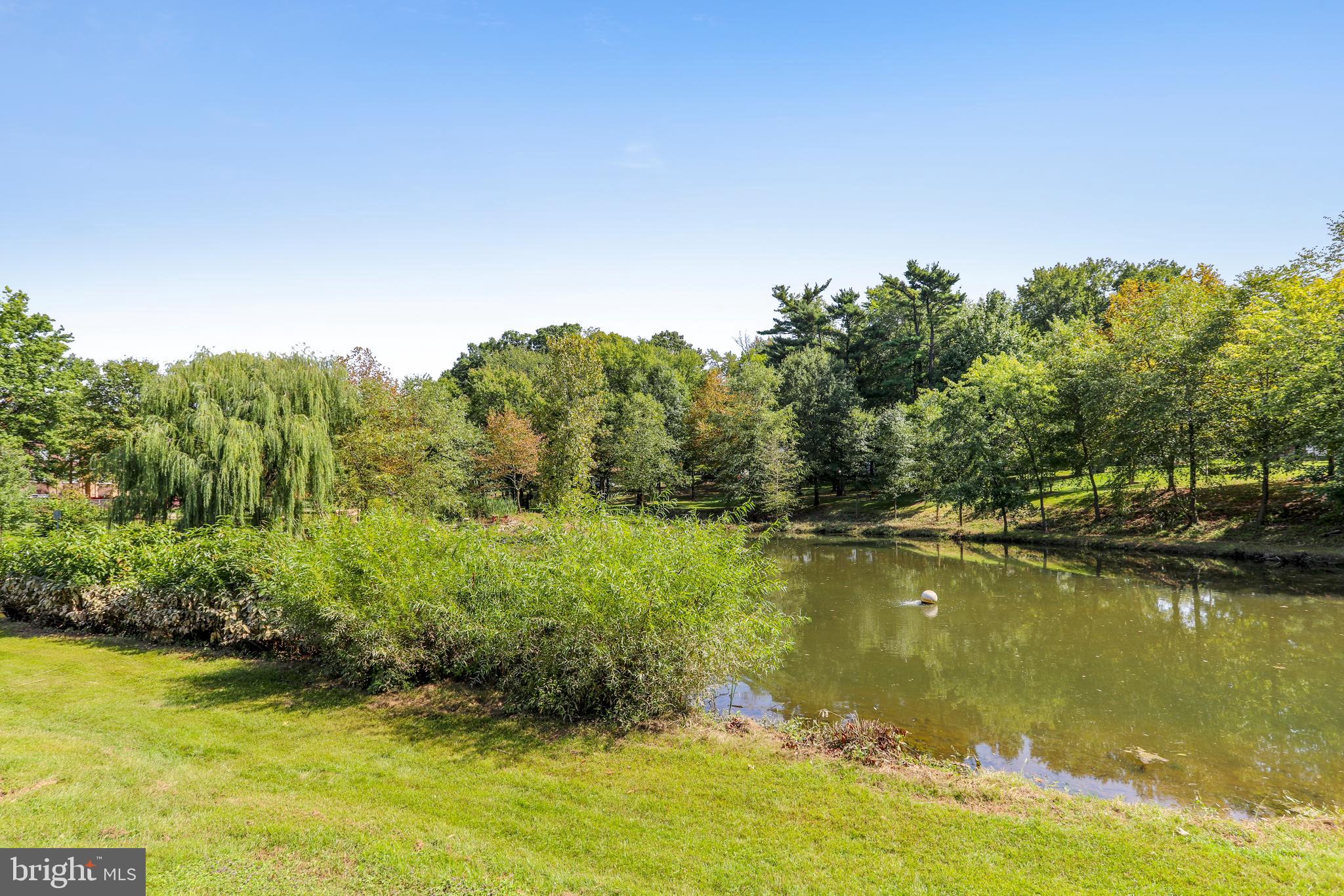 266 West Deer Park Road, Unit 32I Gaithersburg, MD 20877 - Photo 26 of 28 Christman Park pond