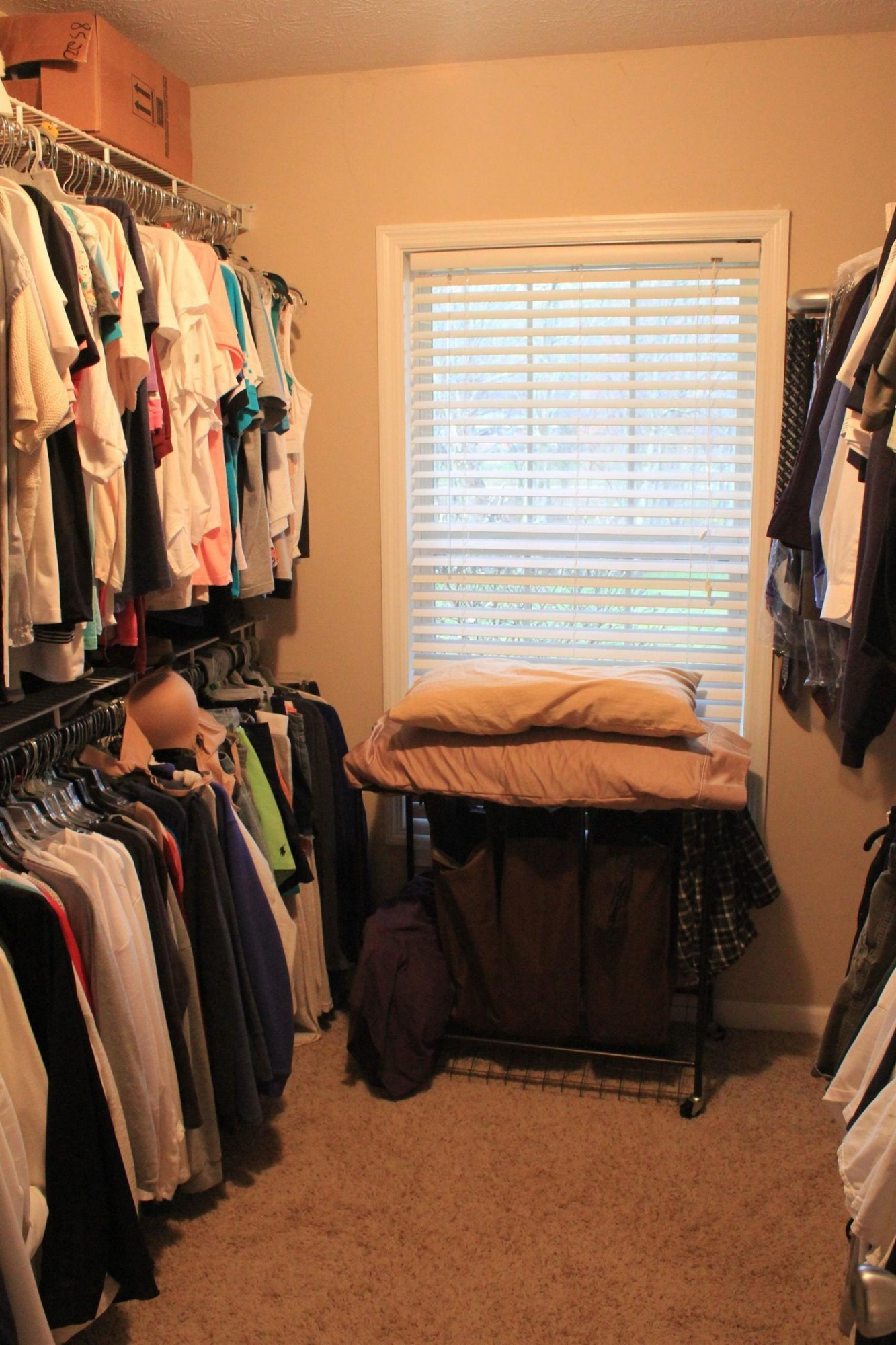 2955 Shadrick Ferry Road Frankfort, KY 40601 - Photo 30 of 49 Master suite walk in closet.