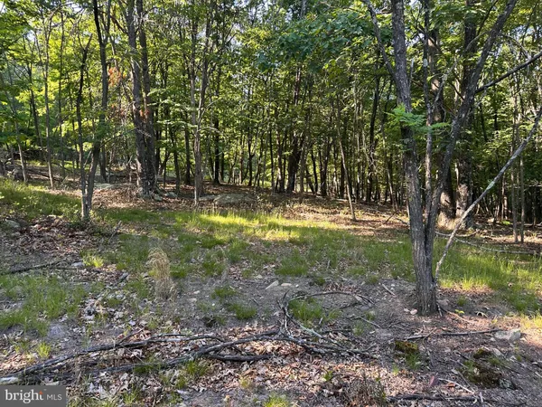$62,500 | Lot 56 Parkside Drive, Berkeley Springs, WV 25411