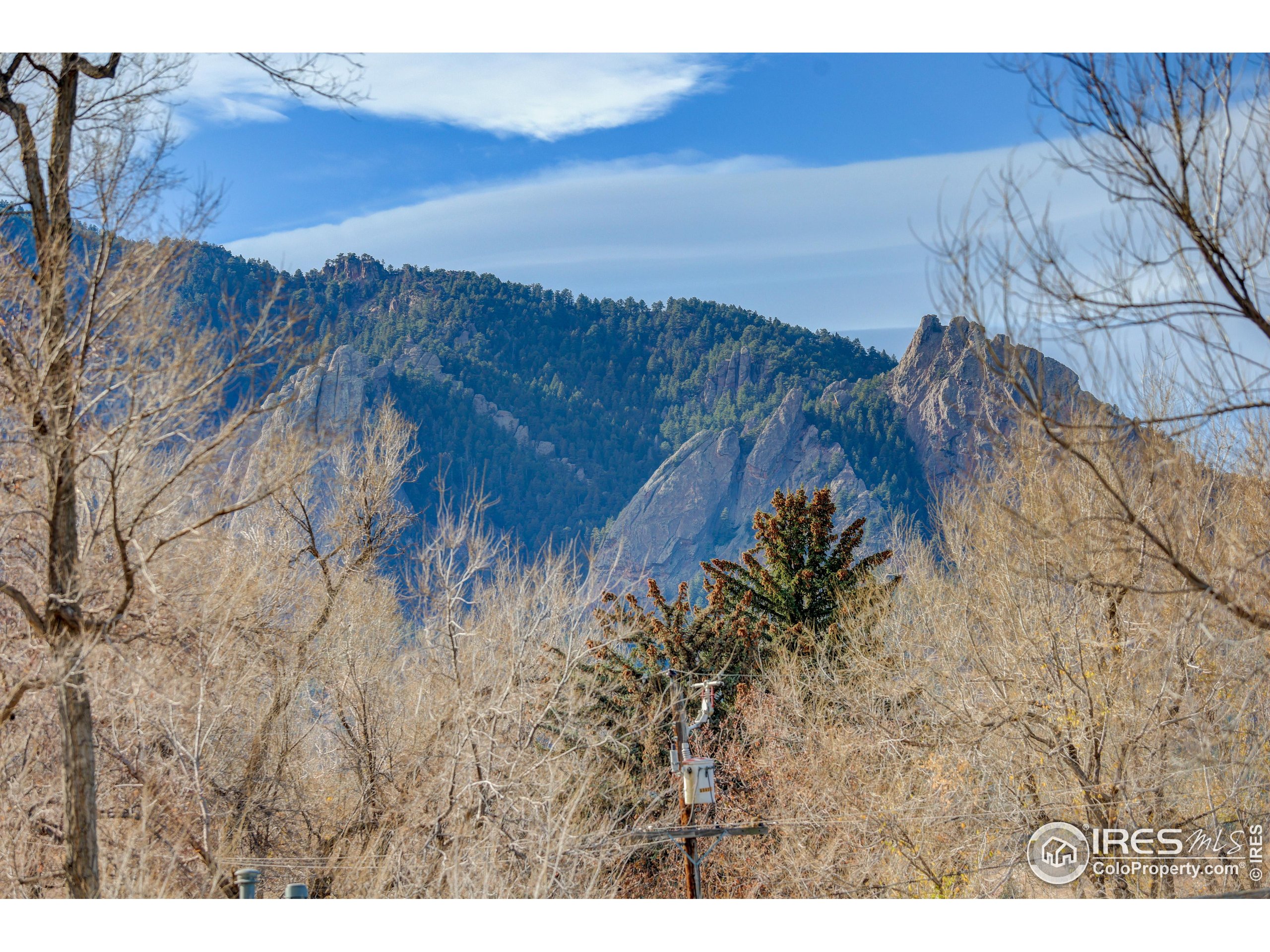 340 29th Street Boulder, CO 80305 - Photo 38 of 39 a view of a yard with a tree