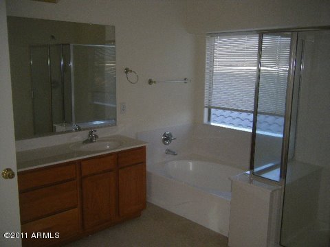 4814 West Ardmore Road Laveen, AZ 85339 - Photo 8 of 13 Master Bath