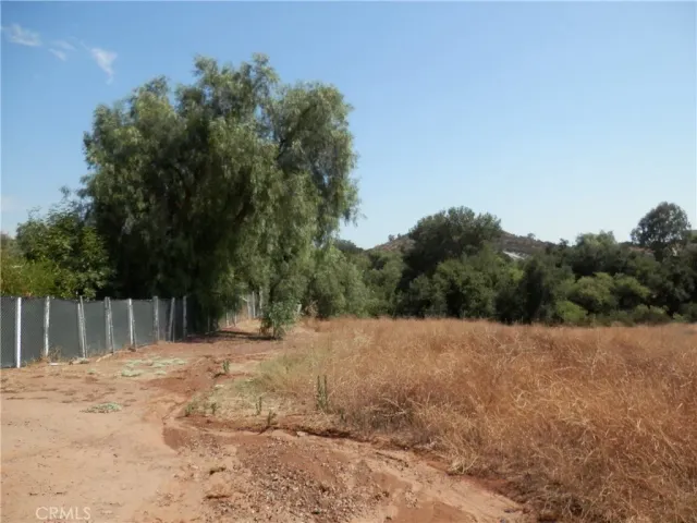 a view of a yard with a tree