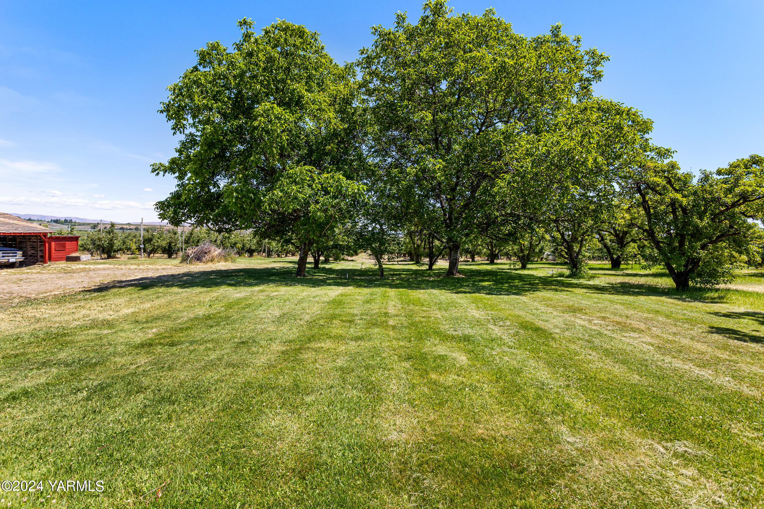 61 Nash Road Tieton, WA 98947 - Photo 54 of 66 a view of outdoor space with garden and trees