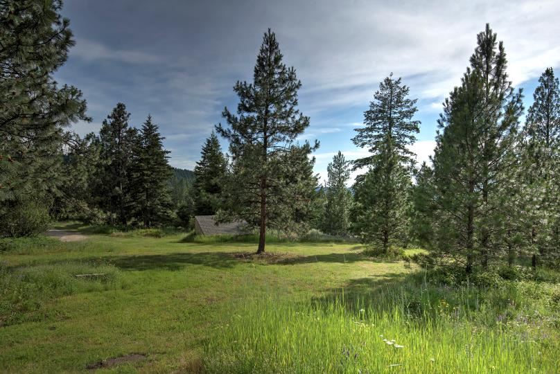 37809 North Chapman Road Elk, WA 99009 - Photo 13 of 20