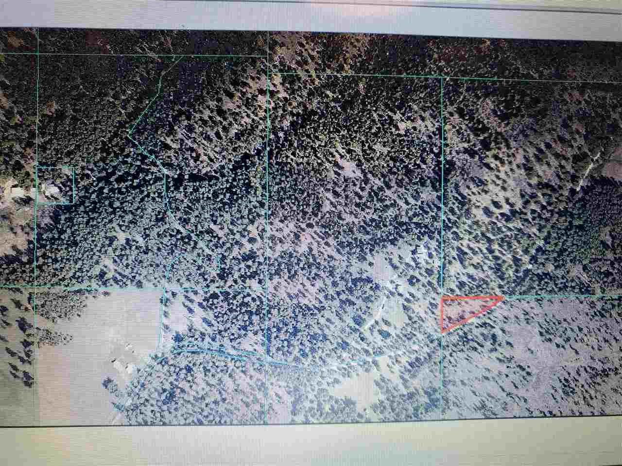 37809 North Chapman Road Elk, WA 99009 - Photo 20 of 20
