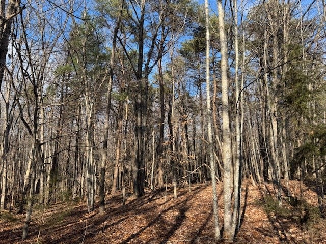 Tolers Ferry Road, Unit 2 Huddleston, VA 24104 - Photo 4 of 9 Gallery Image 4