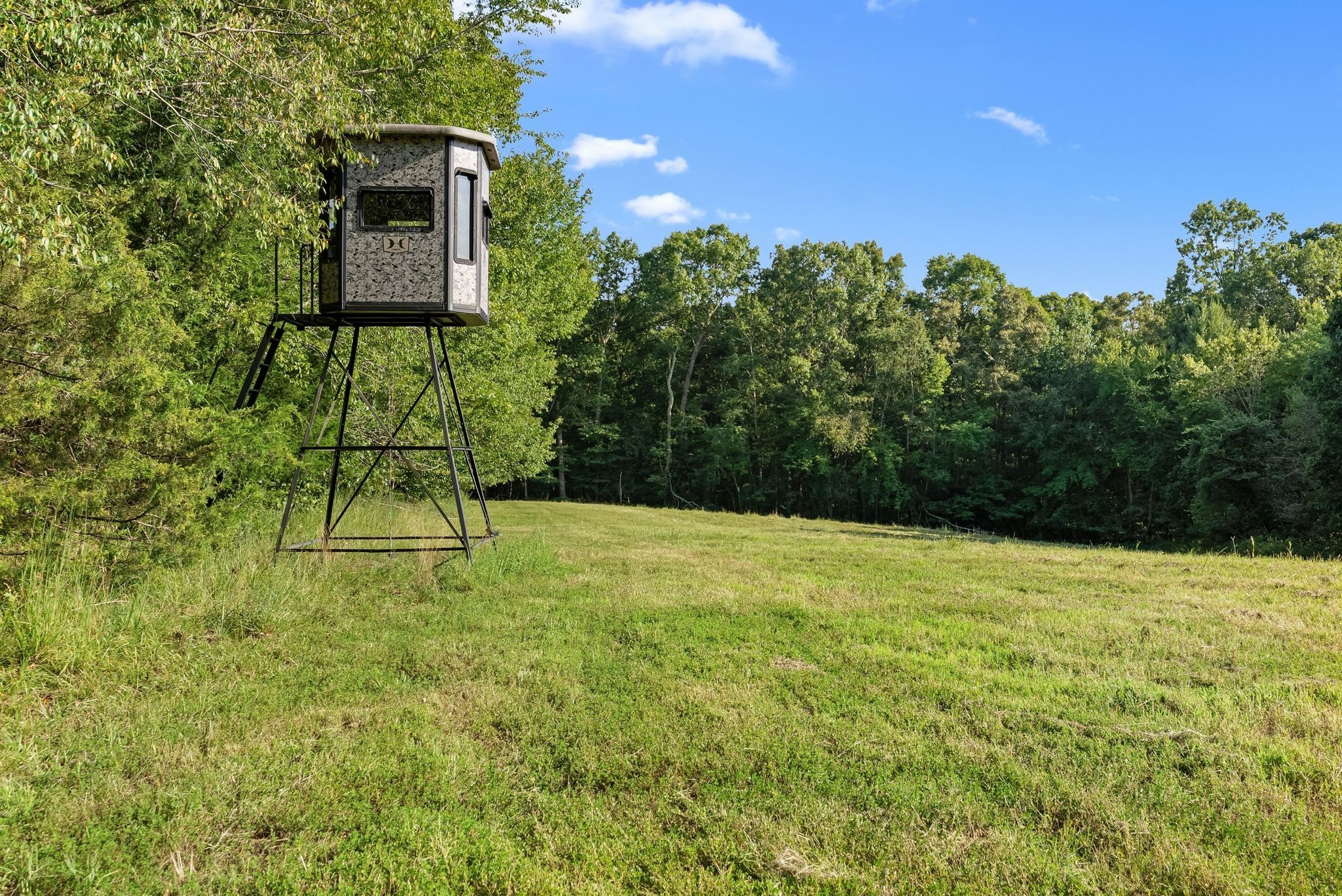 6065 Spencer Road Nunnelly, TN 37137 - Photo 12 of 94 Gallery Image 12
