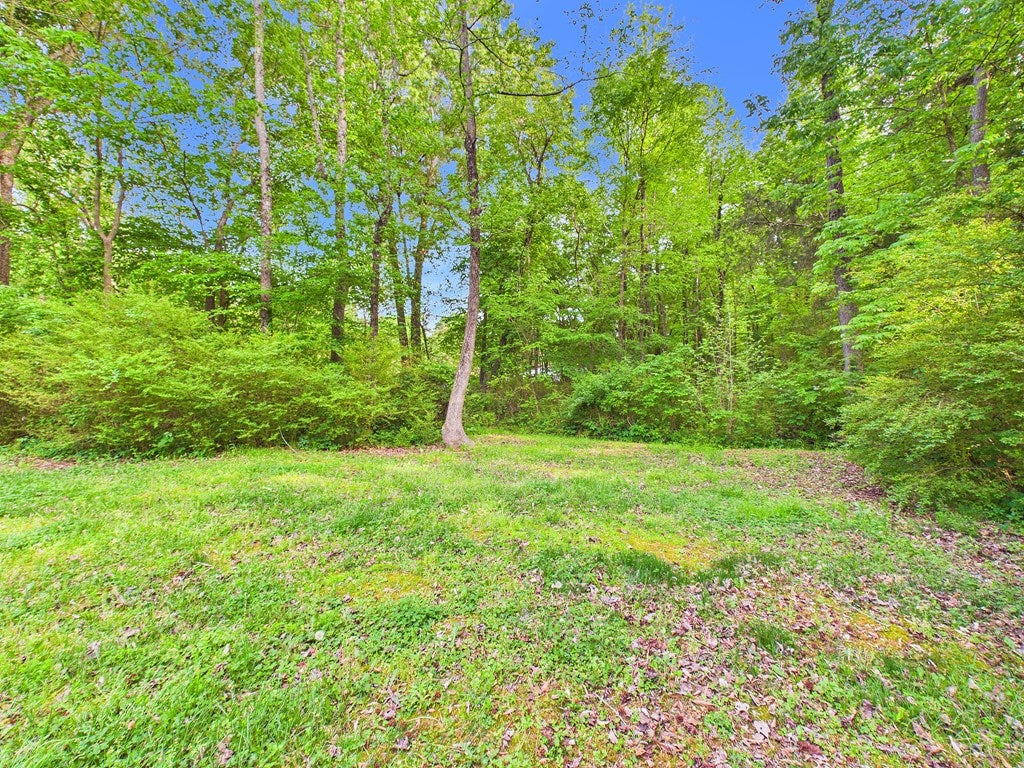 1035 Cole Harbor Road Blackstone, VA 23824 - Photo 46 of 51 Gallery Image 46
