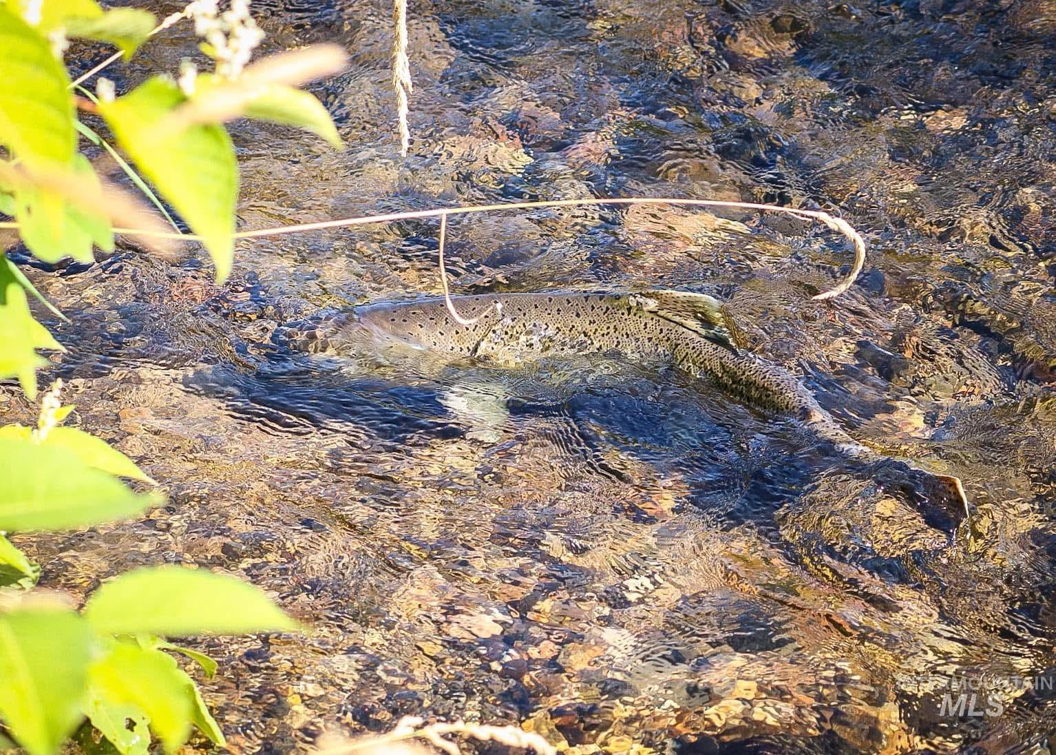 437 Clearcreek Road Kooskia, ID 83539 - Photo 12 of 45