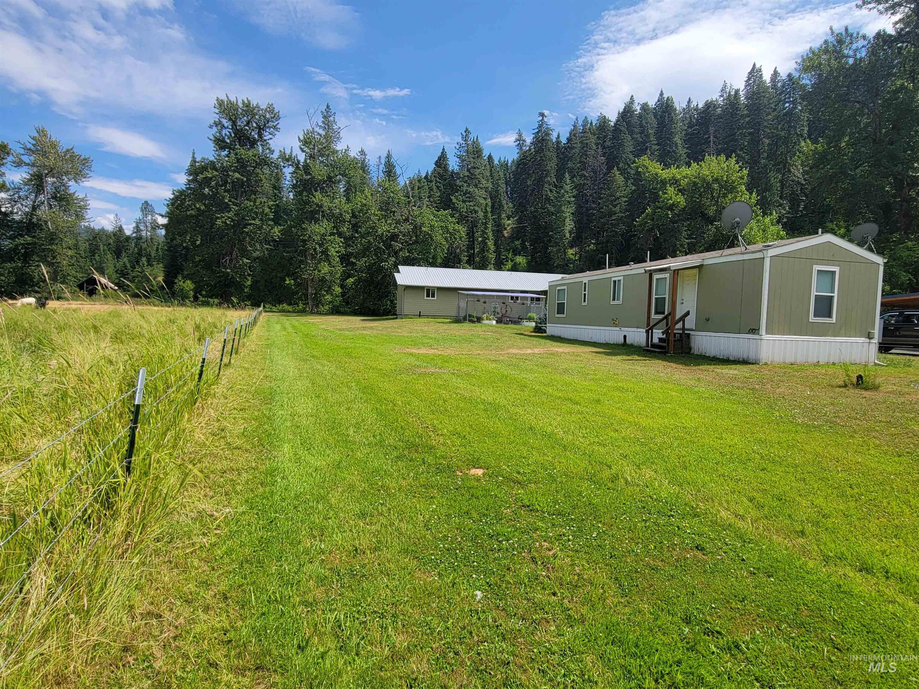 437 Clearcreek Road Kooskia, ID 83539 - Photo 36 of 45 View of yard with a view of trees and entry steps