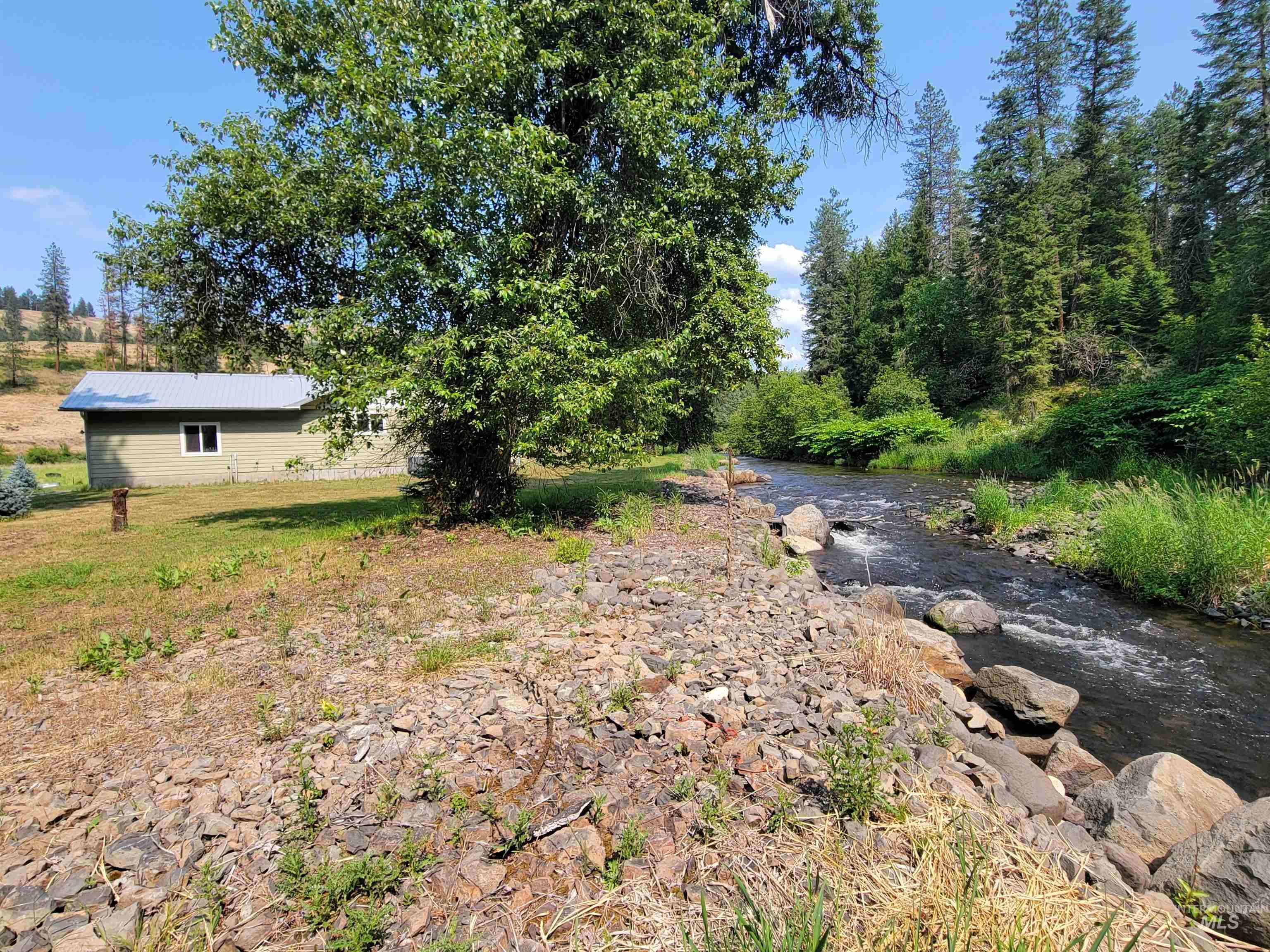437 Clearcreek Road Kooskia, ID 83539 - Photo 5 of 45 View of yard