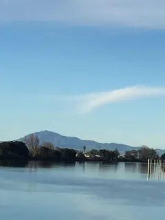 a view of a house with backyard and trees