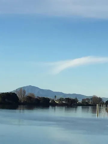 a view of a house with backyard and trees