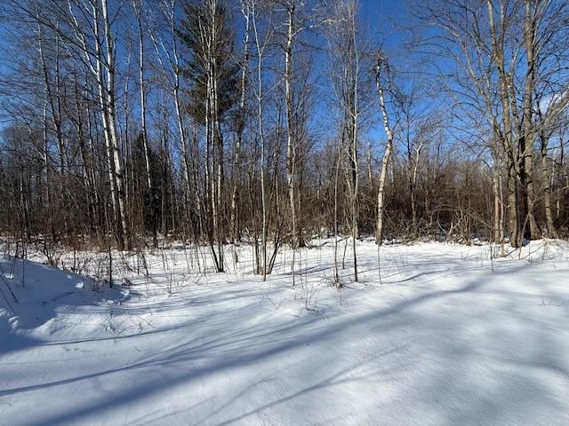 2785 West Falmouth Road McBain, MI 49657 - Photo 6 of 27