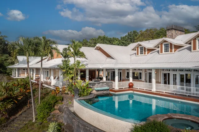 a view of a garden with plants
