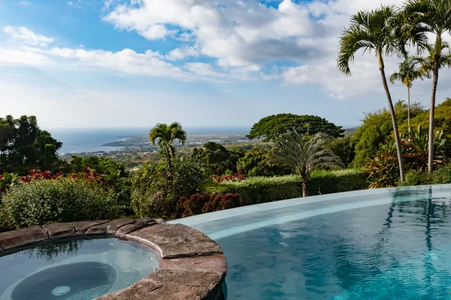 a view of a backyard with plants
