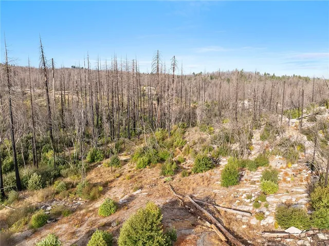 $75,000 | 98 Gamble Road, Berry Creek, CA 95916