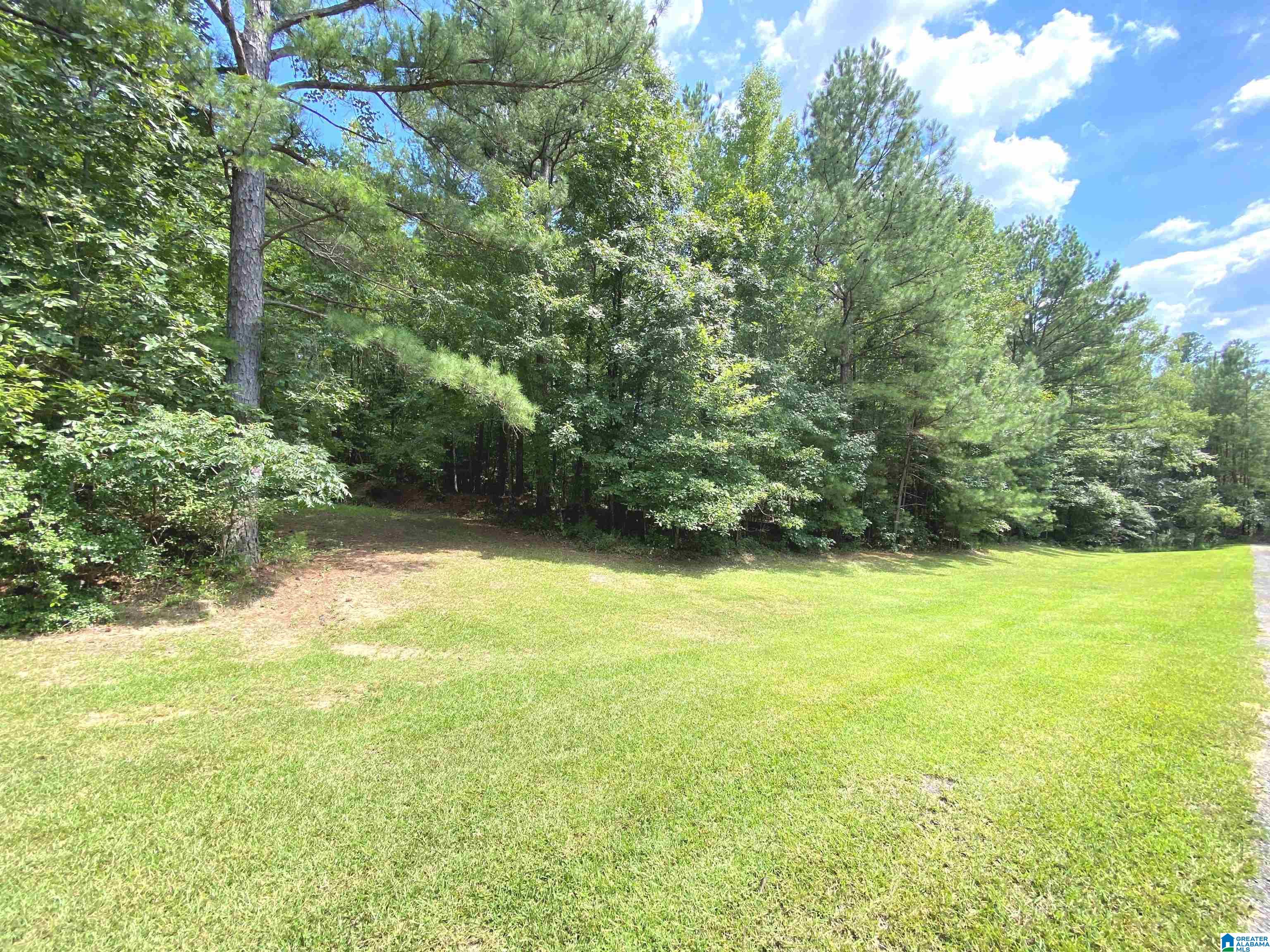 969 Blue Ridge Way, Unit 45 Odenville, AL 35120 - Photo 6 of 12
