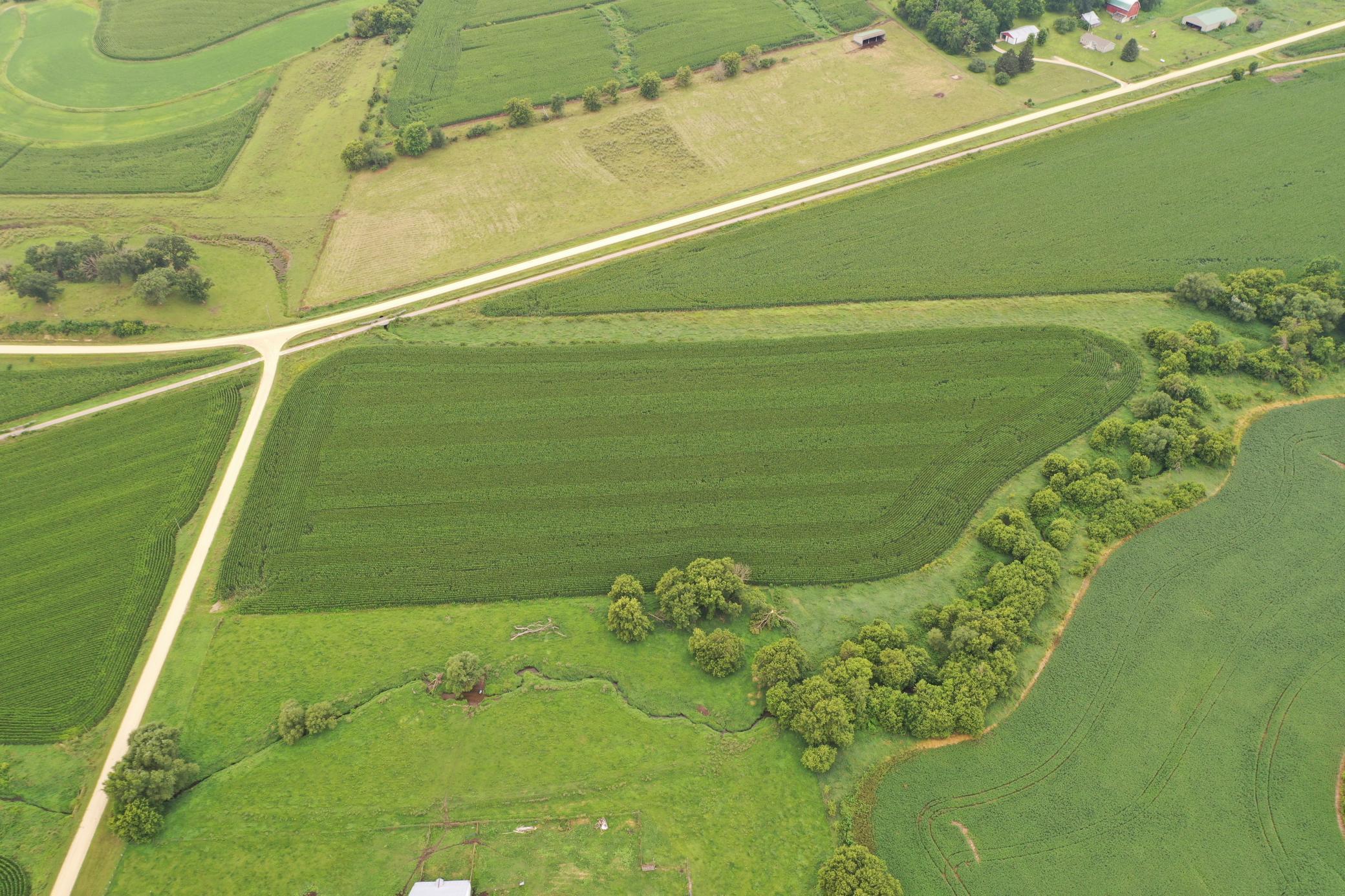 Tbd 55th Street Northeast Elgin, MN 55932 - Photo 11 of 16