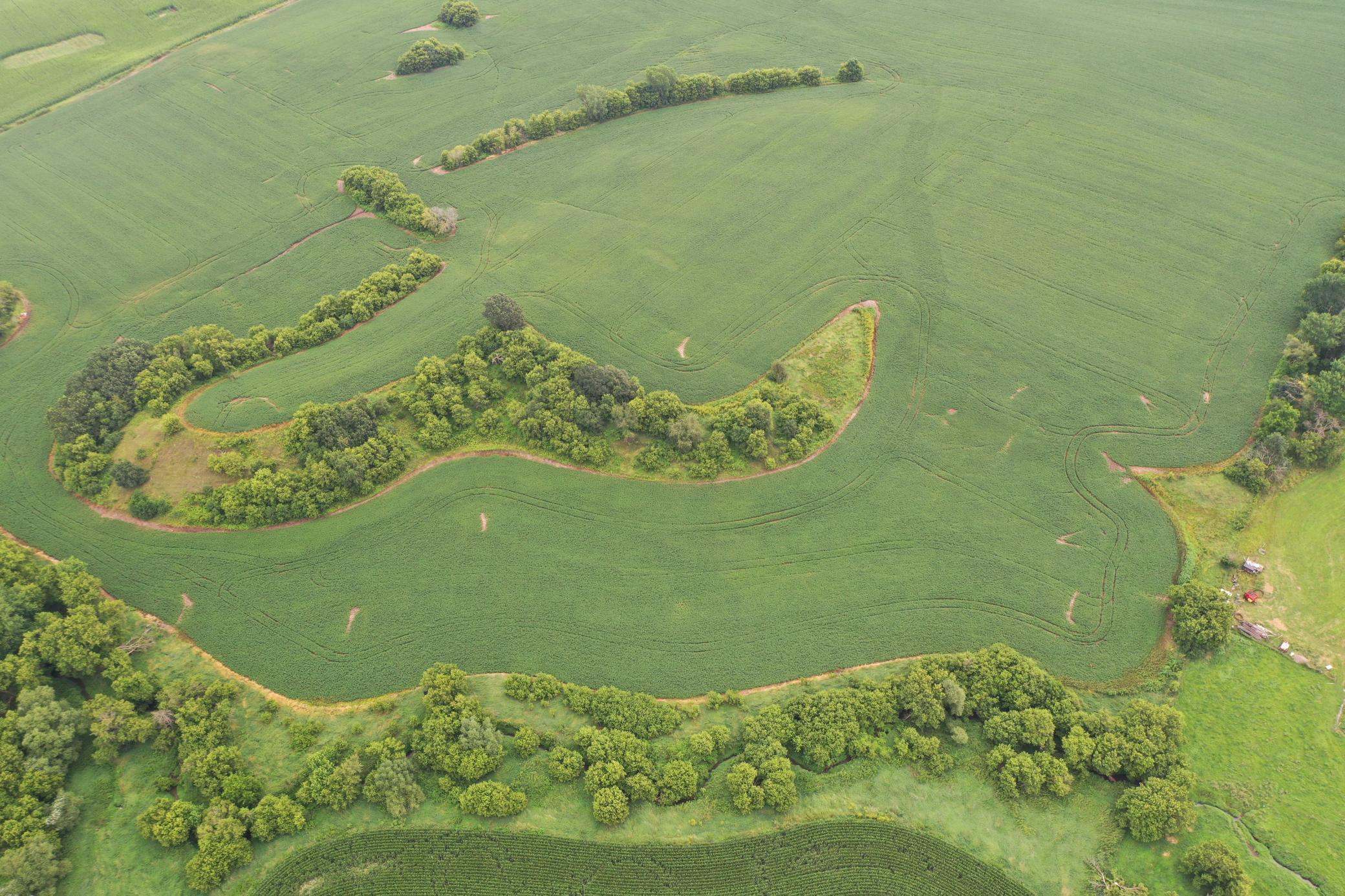 Tbd 55th Street Northeast Elgin, MN 55932 - Photo 13 of 16