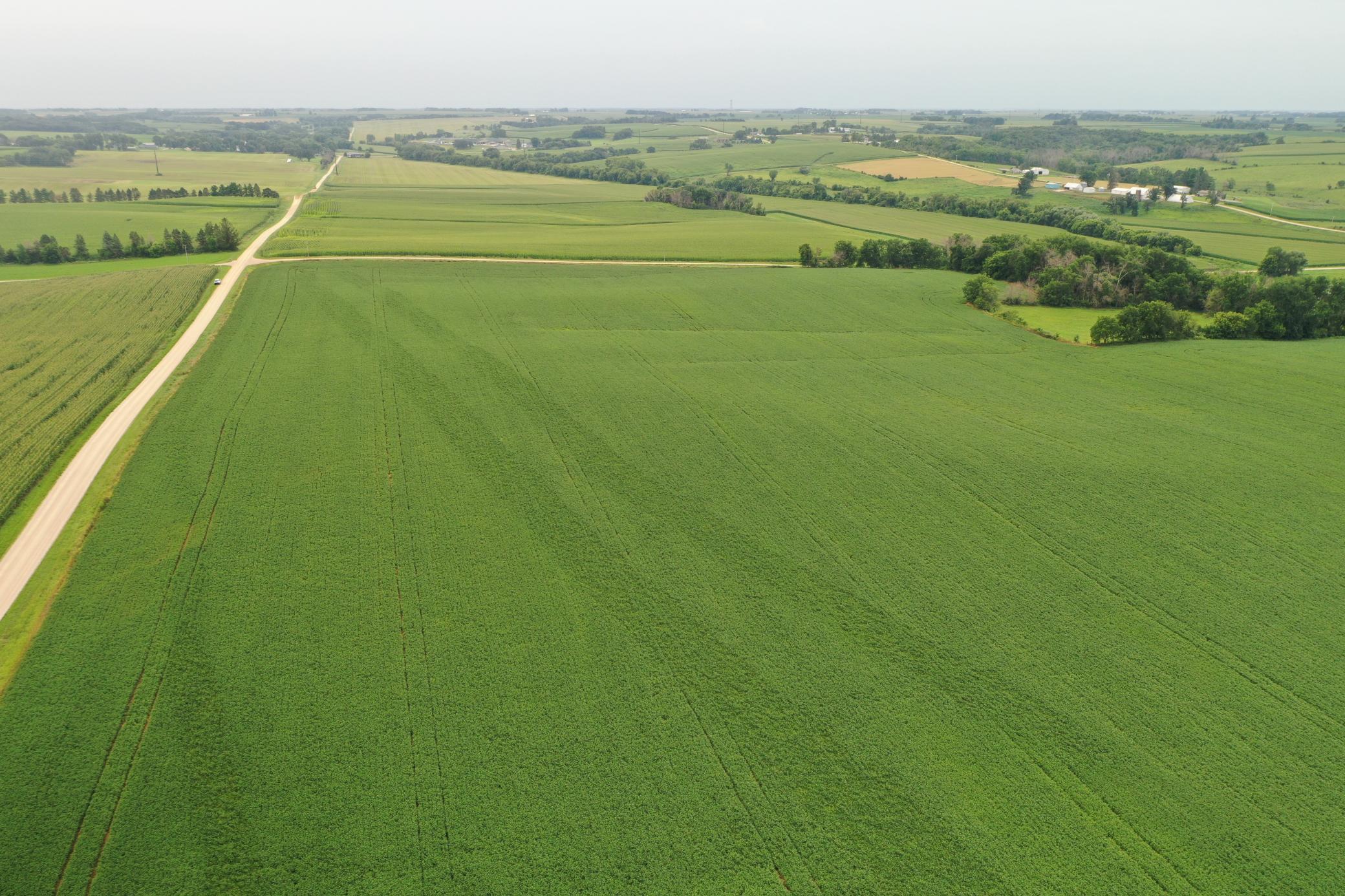 Tbd 55th Street Northeast Elgin, MN 55932 - Photo 15 of 16