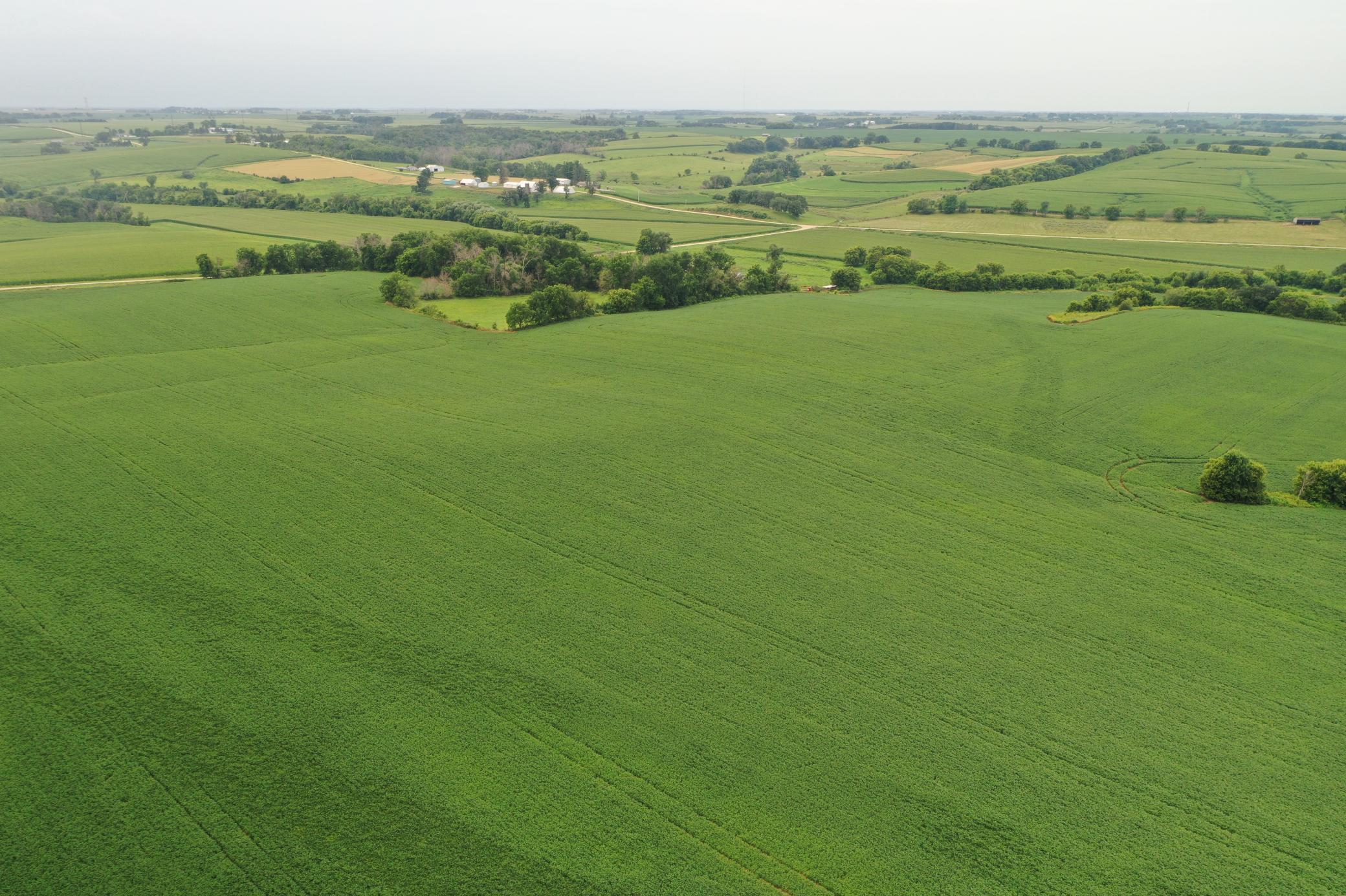 Tbd 55th Street Northeast Elgin, MN 55932 - Photo 16 of 16