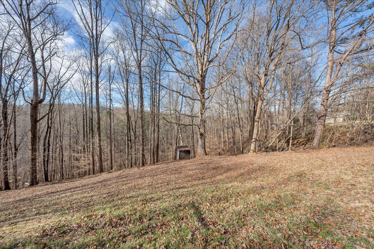1615 Bandy Mill Road Hardy, VA 24101 - Photo 33 of 40 40-MIB07684