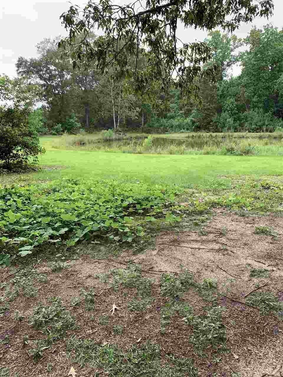 3520 Beaver Creek Road Wing, AL 36483 - Photo 2 of 23 Gallery Image 2