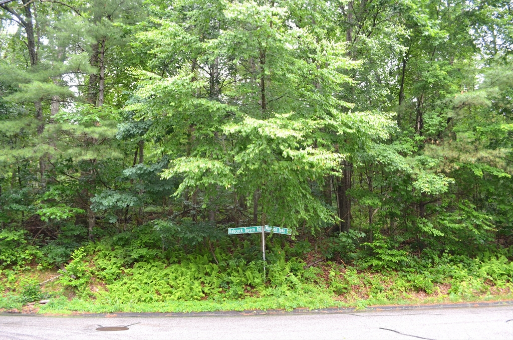 24 Monson Turnpike Road Ware, MA 01082 - Photo 3 of 4