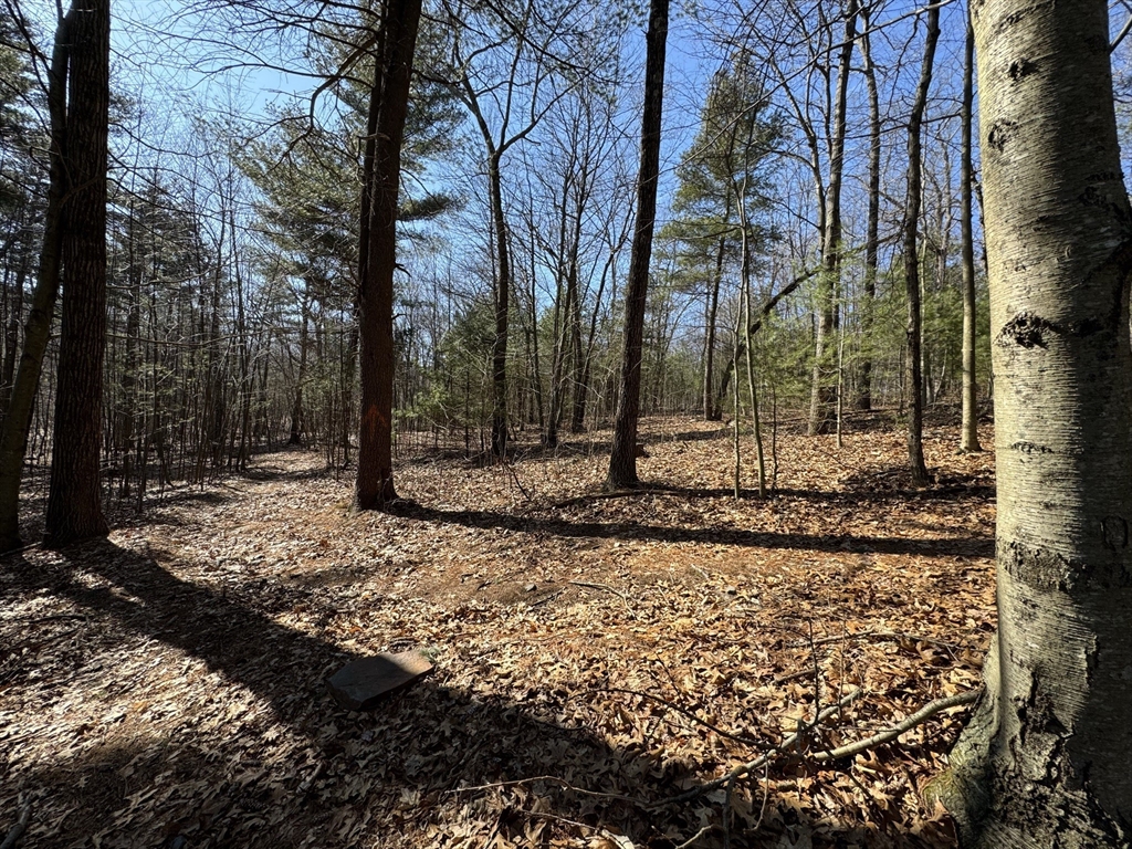 576 V Ridge Road Wilbraham, MA 01095 - Photo 12 of 13