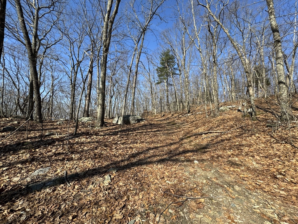576 V Ridge Road Wilbraham, MA 01095 - Photo 5 of 13 a view of house with yard