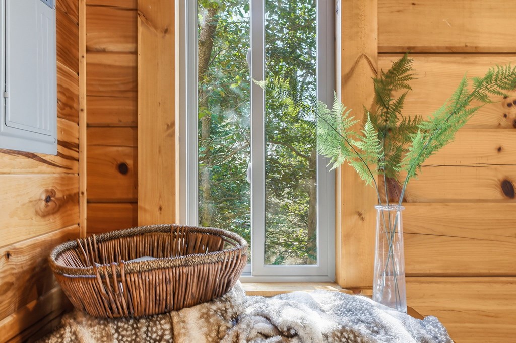 266 Chimney Rock Road Blue Ridge, GA 30513 - Photo 23 of 44