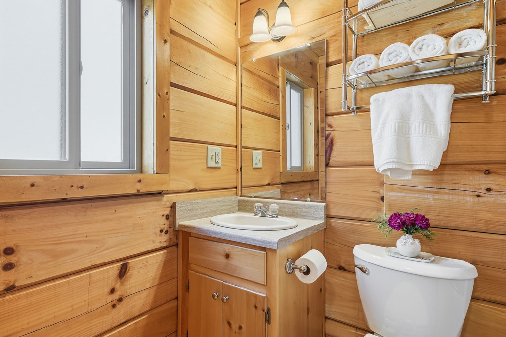 266 Chimney Rock Road Blue Ridge, GA 30513 - Photo 29 of 44