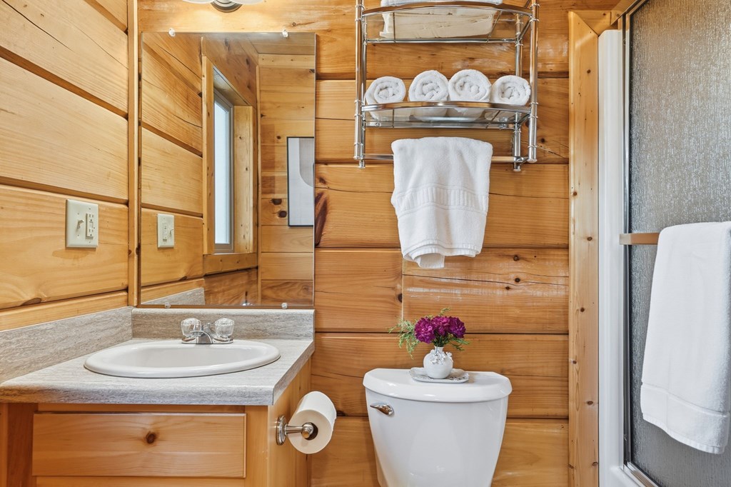 266 Chimney Rock Road Blue Ridge, GA 30513 - Photo 30 of 44