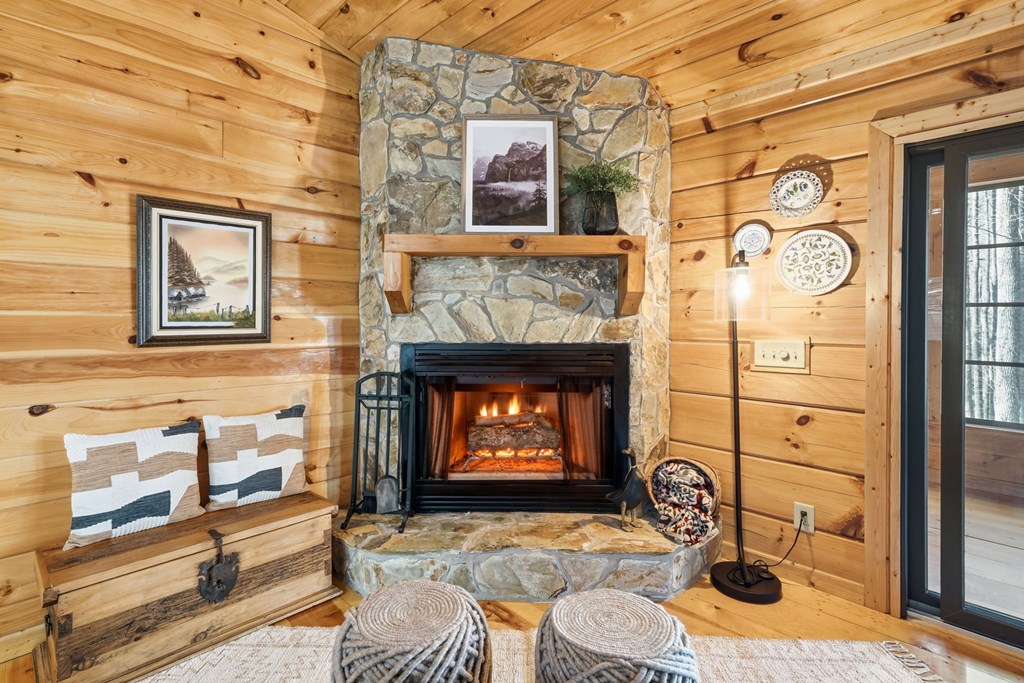 266 Chimney Rock Road Blue Ridge, GA 30513 - Photo 3 of 44