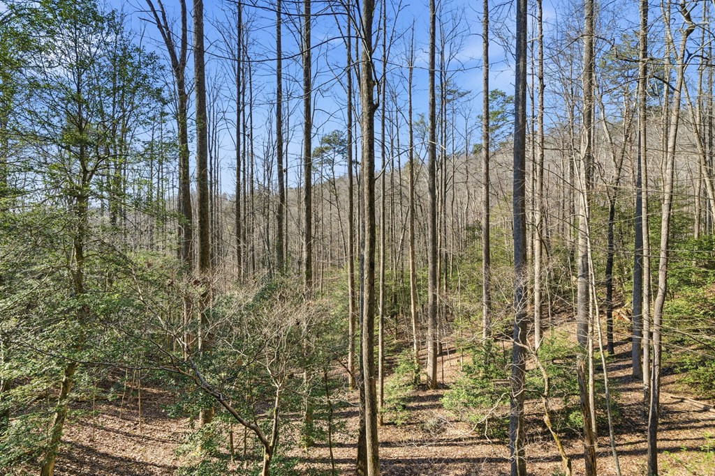 266 Chimney Rock Road Blue Ridge, GA 30513 - Photo 37 of 44