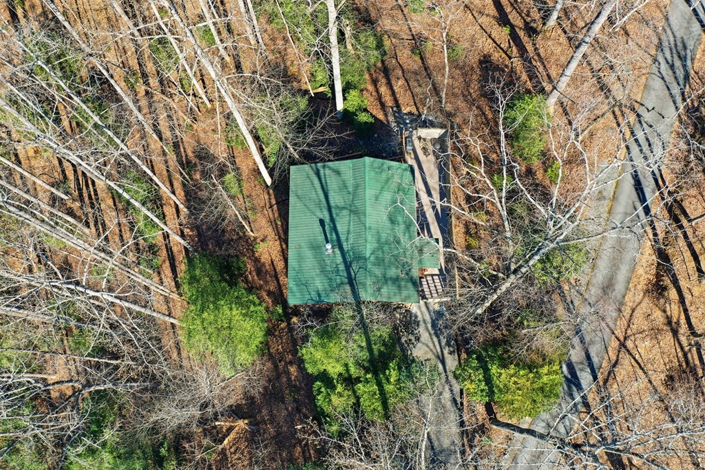 266 Chimney Rock Road Blue Ridge, GA 30513 - Photo 41 of 44