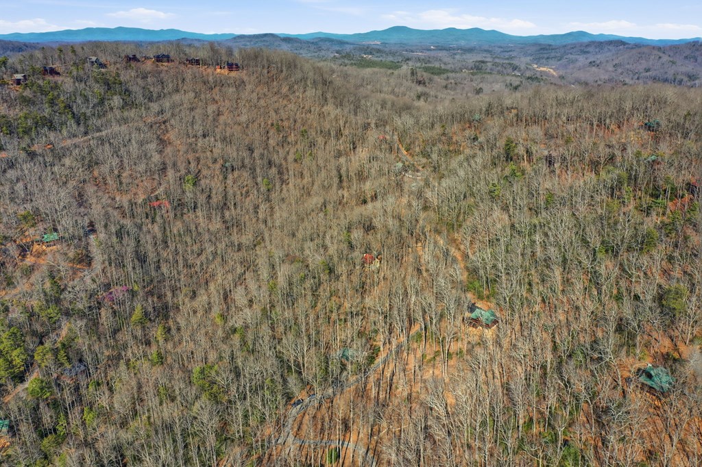 266 Chimney Rock Road Blue Ridge, GA 30513 - Photo 43 of 44