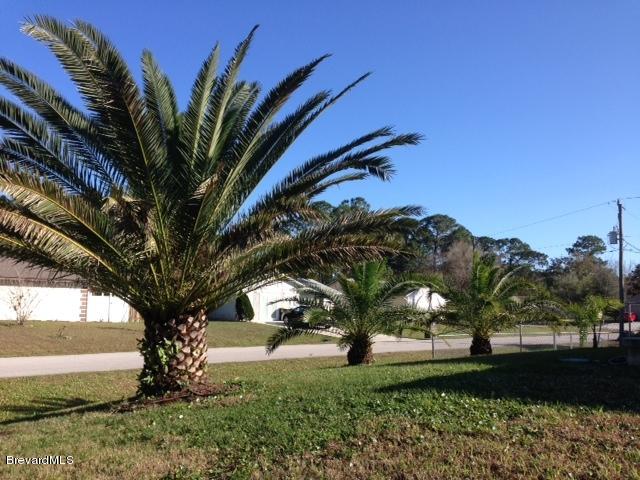 398 Tipton Road Southwest Palm Bay, FL 32908 - Photo 21 of 32 front2