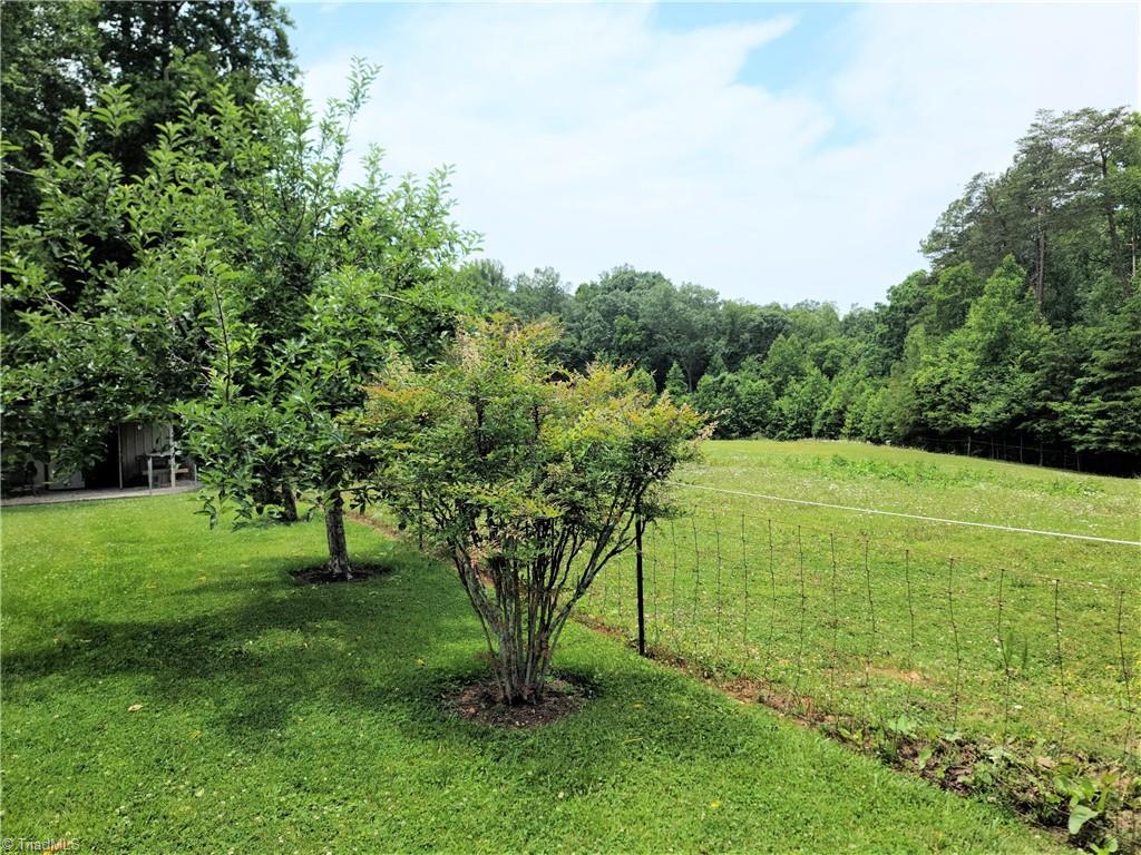 1340 Johnson Road King, NC 27021 - Photo 30 of 34 Fruit trees