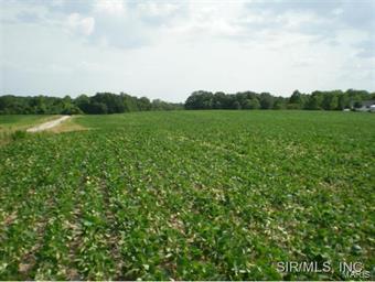 Camp Road Waterloo, IL 62298 - Photo 1 of 4