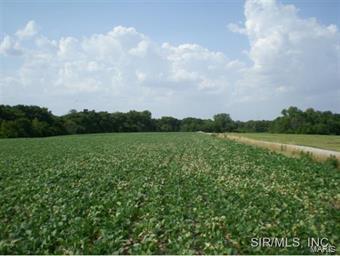 Camp Road Waterloo, IL 62298 - Photo 2 of 4