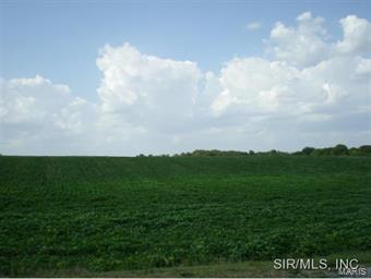 Camp Road Waterloo, IL 62298 - Photo 3 of 4