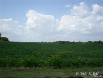 Camp Road Waterloo, IL 62298 - Photo 4 of 4