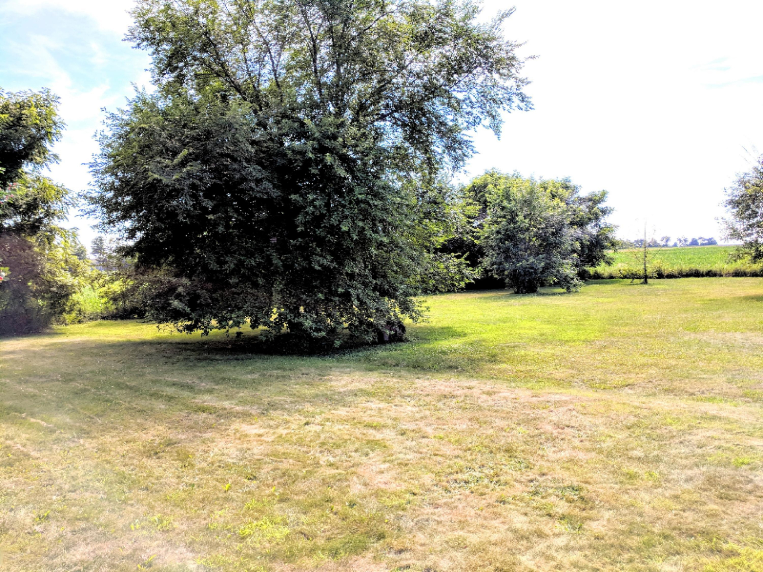 6926 Kyser Road Lowell, MI 49331 - Photo 20 of 22 IMG_20180710_161511